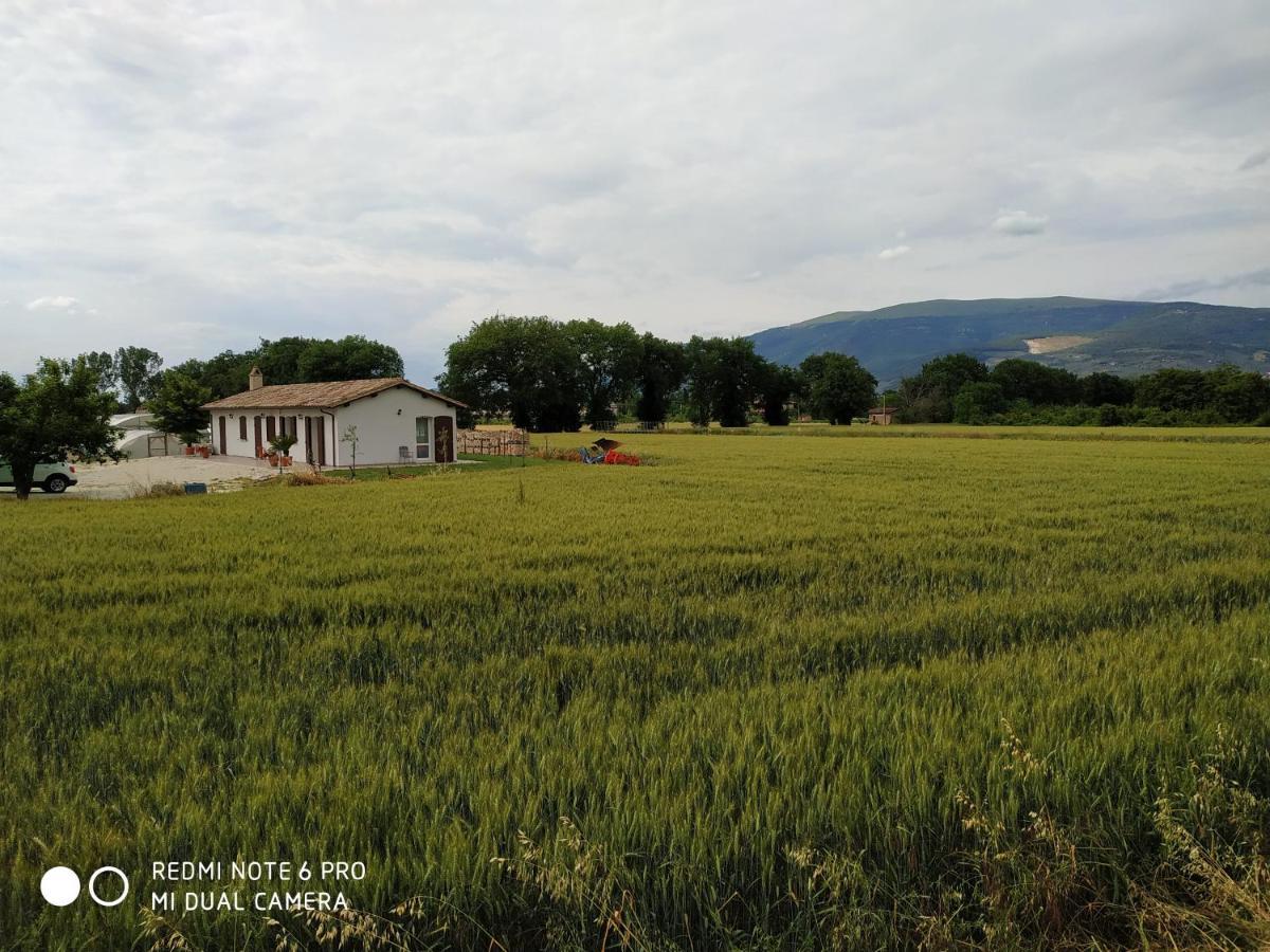Agriturismo " Le Serre" สเปลโล ภายนอก รูปภาพ