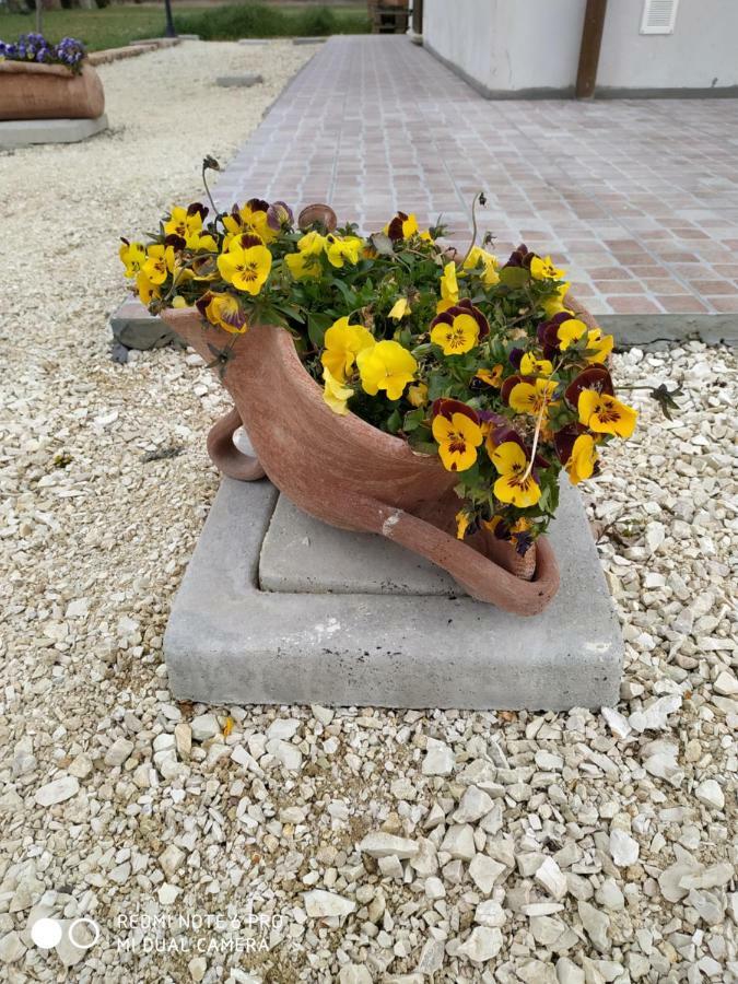 Agriturismo " Le Serre" สเปลโล ภายนอก รูปภาพ