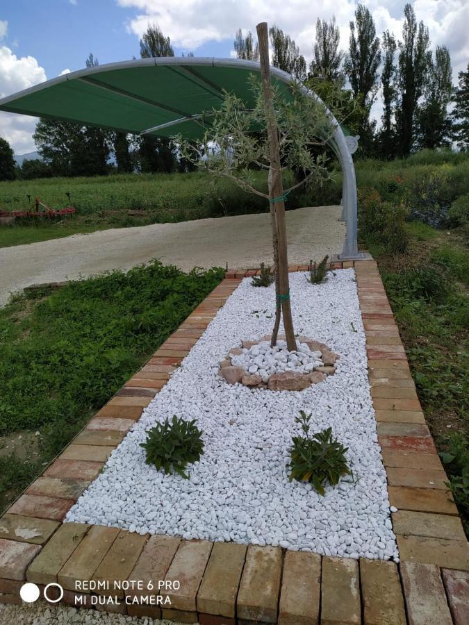 Agriturismo " Le Serre" สเปลโล ภายนอก รูปภาพ
