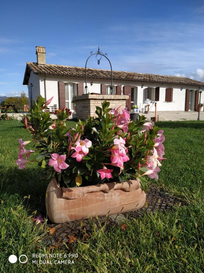 Agriturismo " Le Serre" สเปลโล ภายนอก รูปภาพ