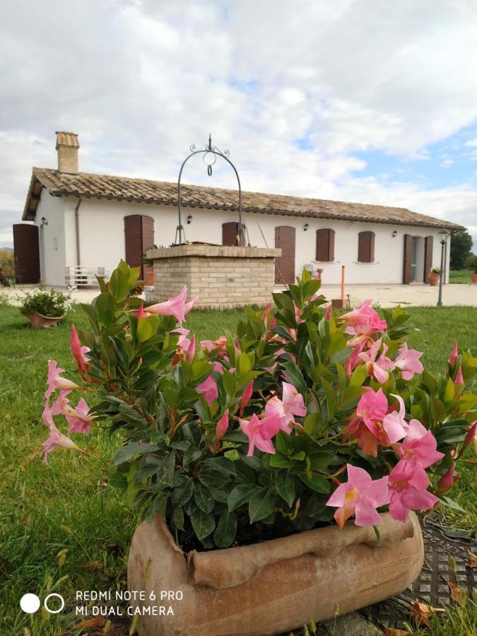 Agriturismo " Le Serre" สเปลโล ภายนอก รูปภาพ